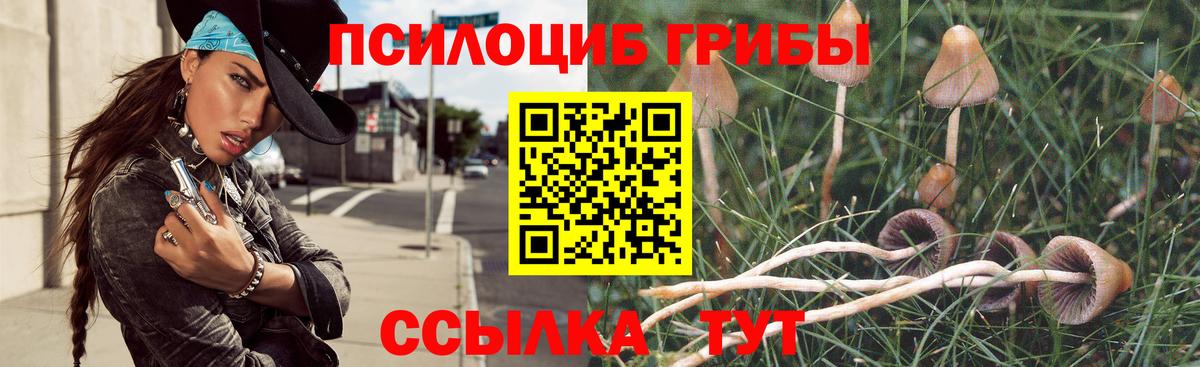 Галлюциногенные грибы мицелий  Галлюциногенные грибы мицелий  Вход с VPN  Фролово 