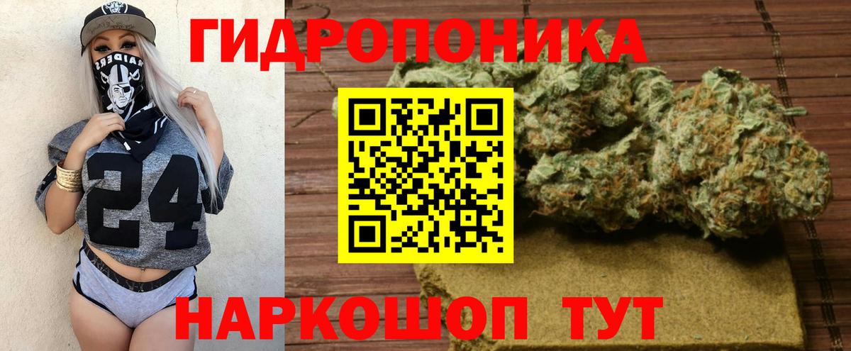 Марихуана тримм  Вход с VPN  Бошки марихуана конопля  Фролово  Конопля VHQ  Каннабис Ganja 
